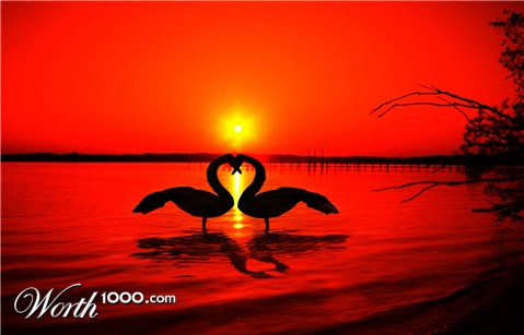 Photoshop Design by urnmns