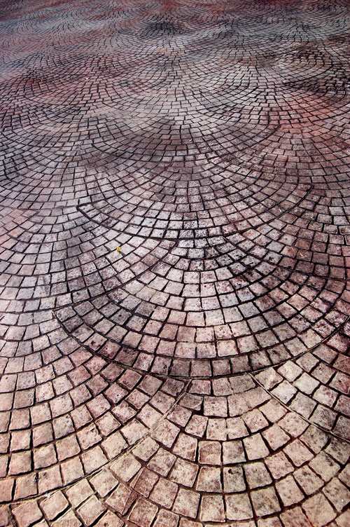 Photographie par Chimmi pour DesignCrowd (Community Contests) | Design #8952108