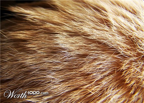 Photography by morganichole