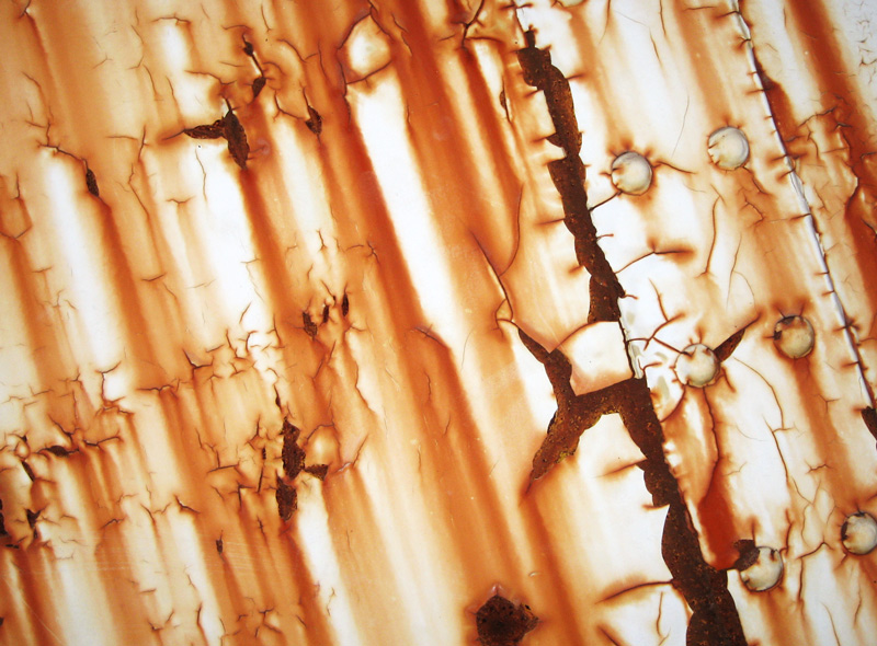 Photography by mangoslushy for DesignCrowd (Community Contests) | Design #8952167