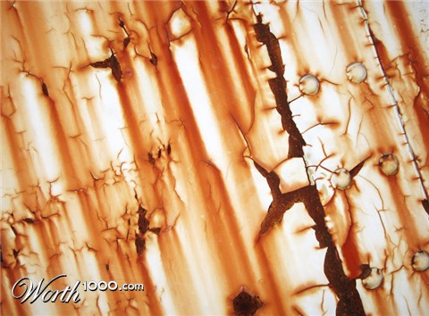 Photography by mangoslushy