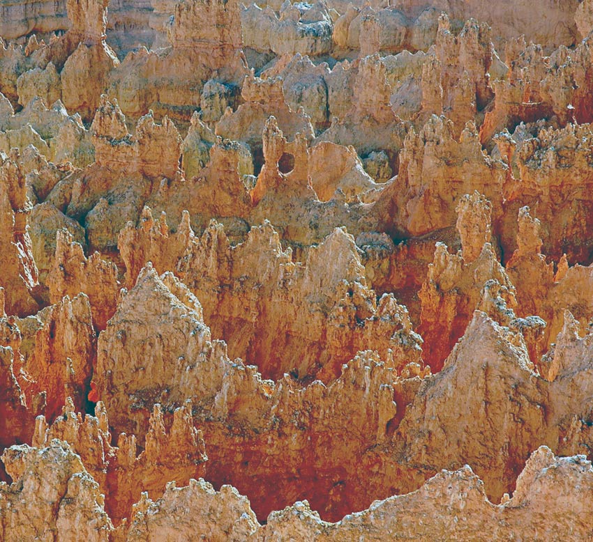 Photographie par Lmorrow57 pour DesignCrowd (Community Contests) | Design #8952194