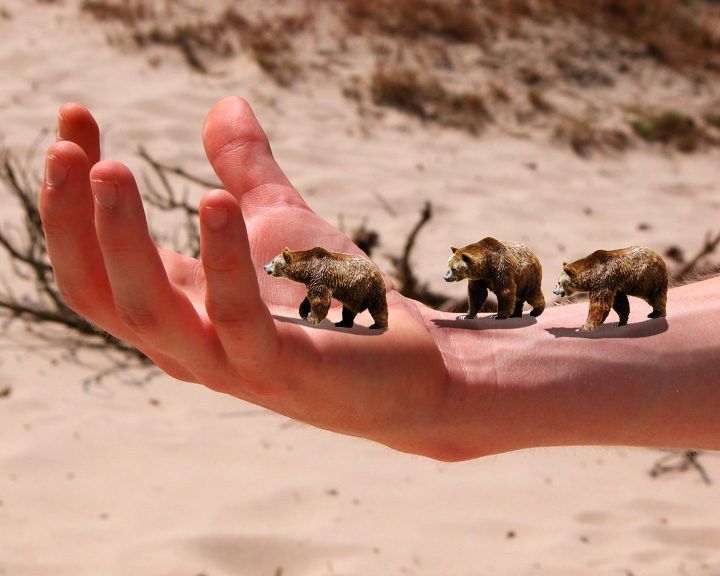 Photoshop-Design von AUGUST für DesignCrowd (Community Contests) | Design #8950529