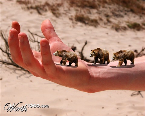 Photoshop Design by AUGUST