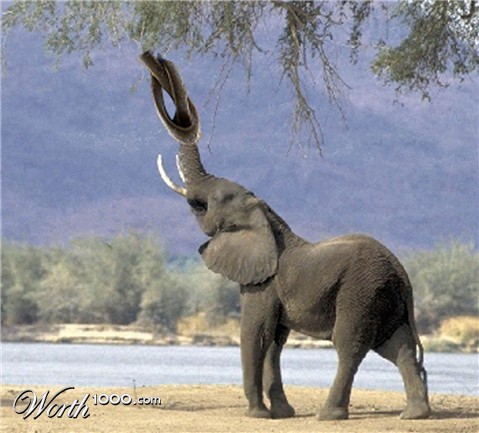 Photoshop Design by ebrarbahcivan