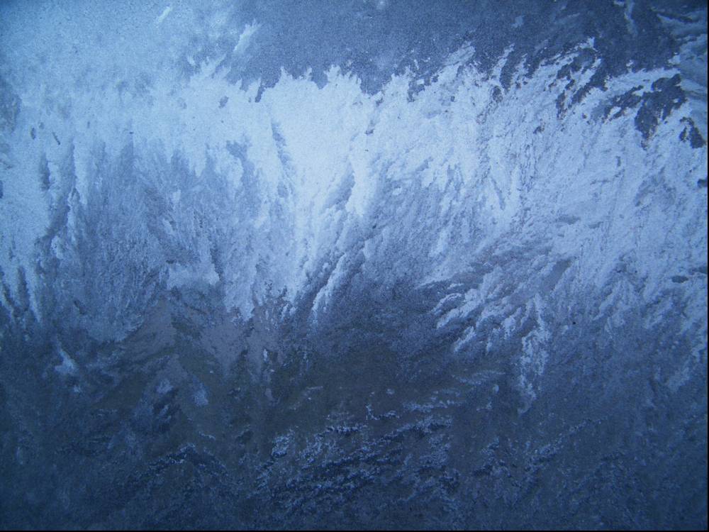 Photography by spincast1123 for DesignCrowd (Community Contests) | Design #8954640