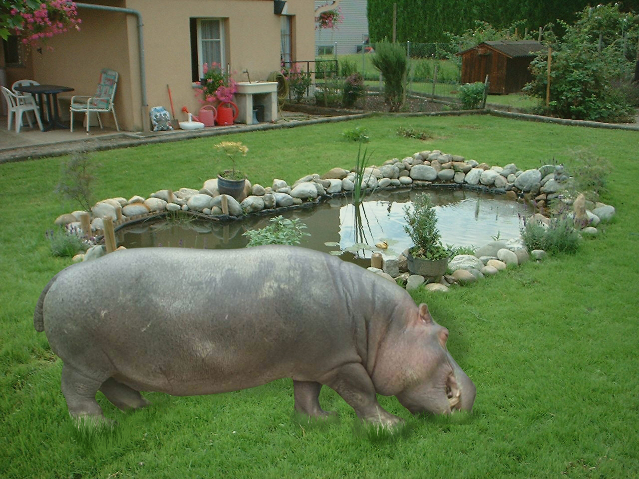 Photoshop Design by Twiggye for DesignCrowd (Community Contests) | Design #8950499