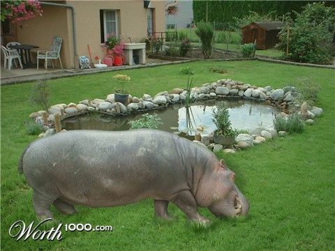 Photoshop Design by Twiggye