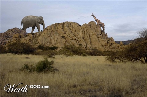 Photoshop Design by aleluja