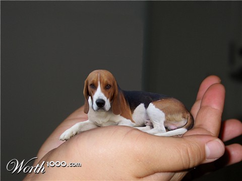 Photoshop Design by underworth