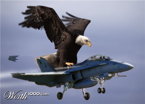 Photoshop Design by Tuuluuwag