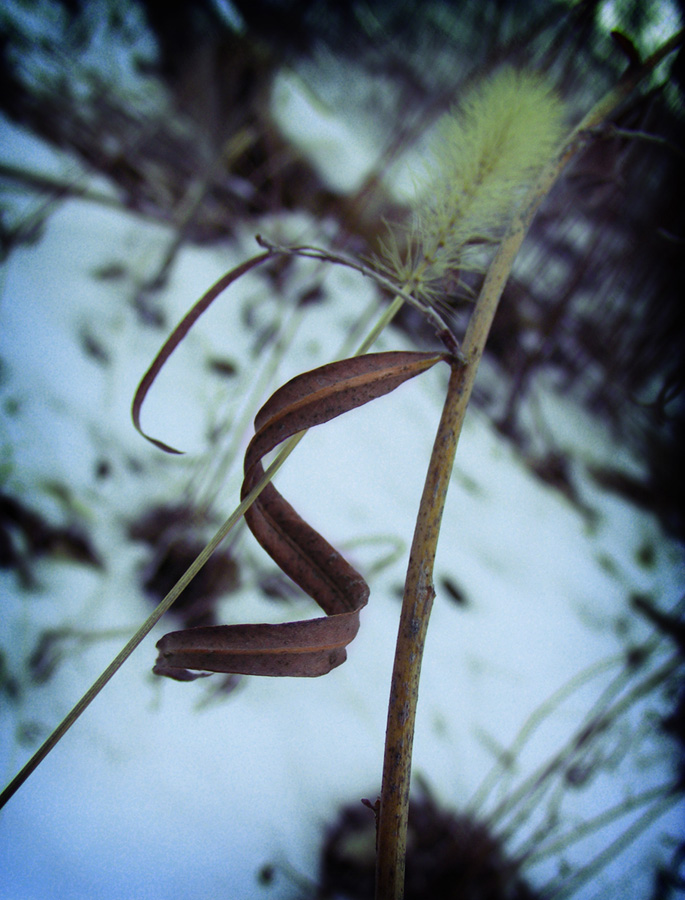 Photography by imthinkingoutloud for DesignCrowd (Community Contests) | Design #8951560