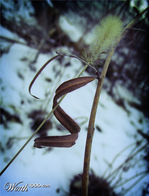 Photography by imthinkingoutloud