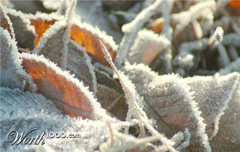 Photography by Larvice