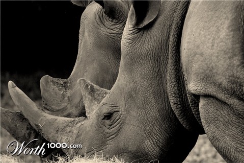 Photography by margold