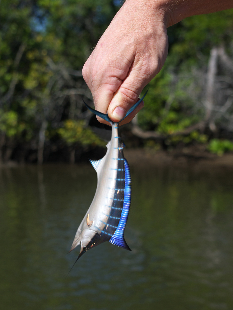 Photoshop Design by Luis30 for DesignCrowd (Community Contests) | Design #8950587