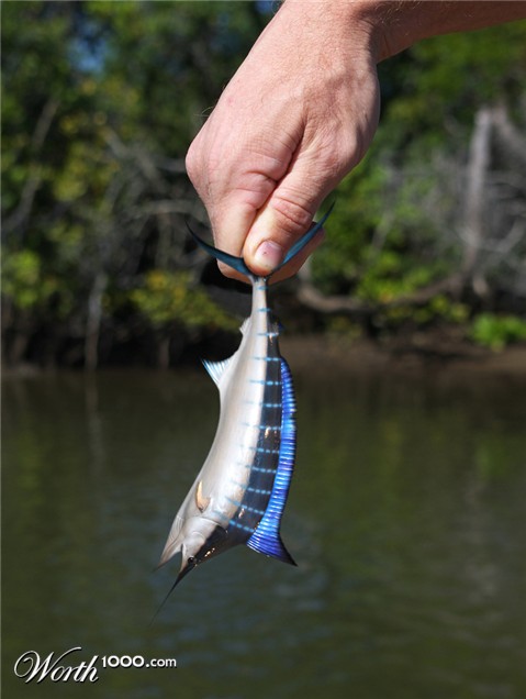 Photoshop Design by Luis30