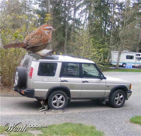 Photoshop Design by bkhikkin