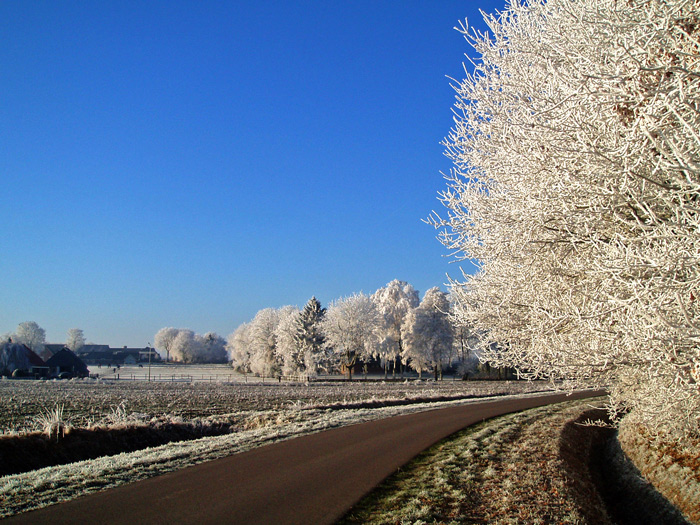 Photography by charizz for DesignCrowd (Community Contests) | Design #8954661