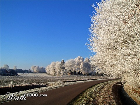 Photography by charizz