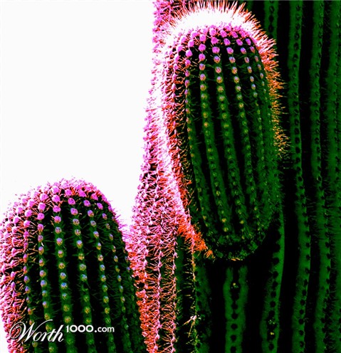 Photography by Lmorrow57