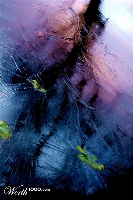 Photography by danielfellowes