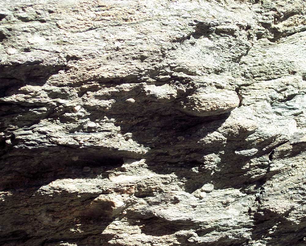 Photography by mindy3051 for DesignCrowd (Community Contests) | Design #8952221