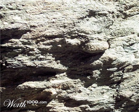 Photography by mindy3051