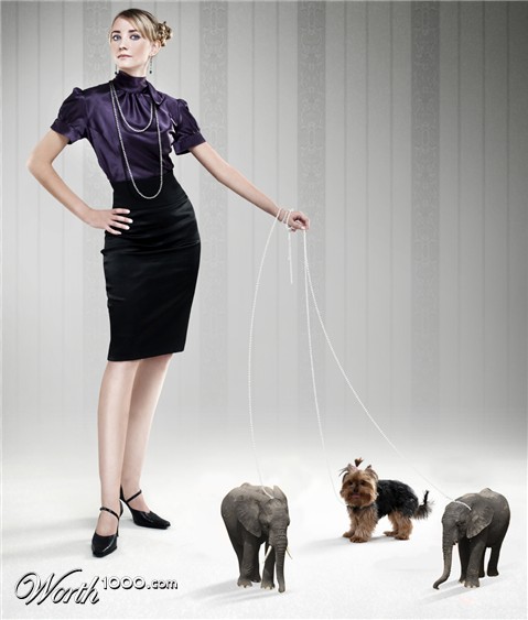 Photoshop Design by perroloco