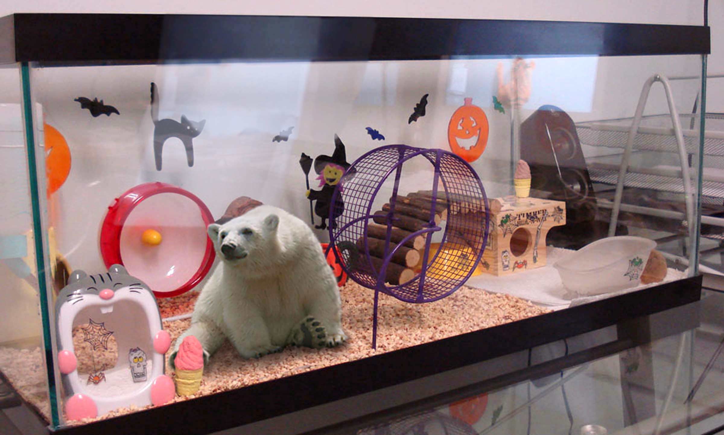 Photoshop Design by Matrixx10 for DesignCrowd (Community Contests) | Design #8950659