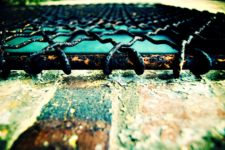 Photography by OscarThePig for DesignCrowd (Community Contests) | Design #8951603