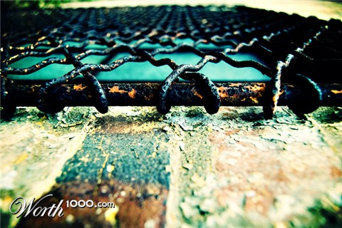 Photography by OscarThePig