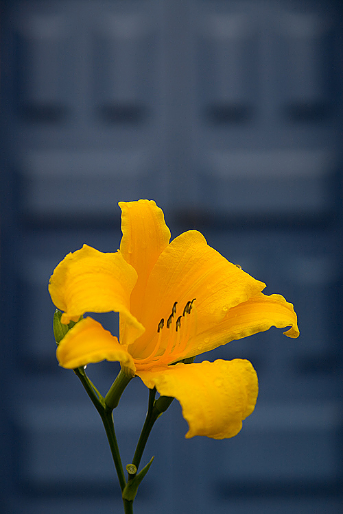 Photography by Pr4ktic for DesignCrowd (Community Contests) | Design #8954179