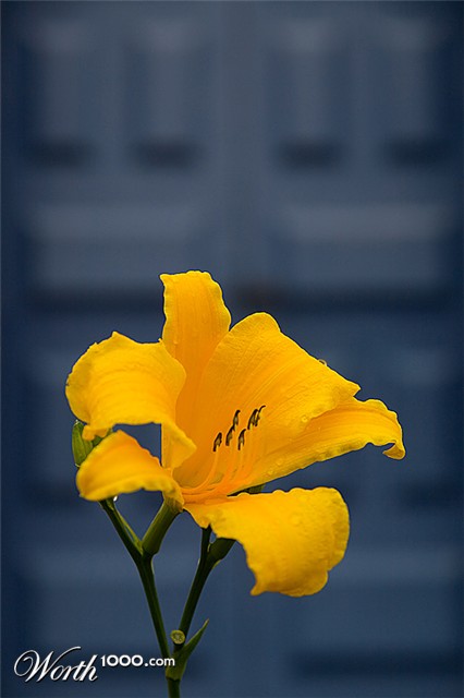 Photography by Pr4ktic