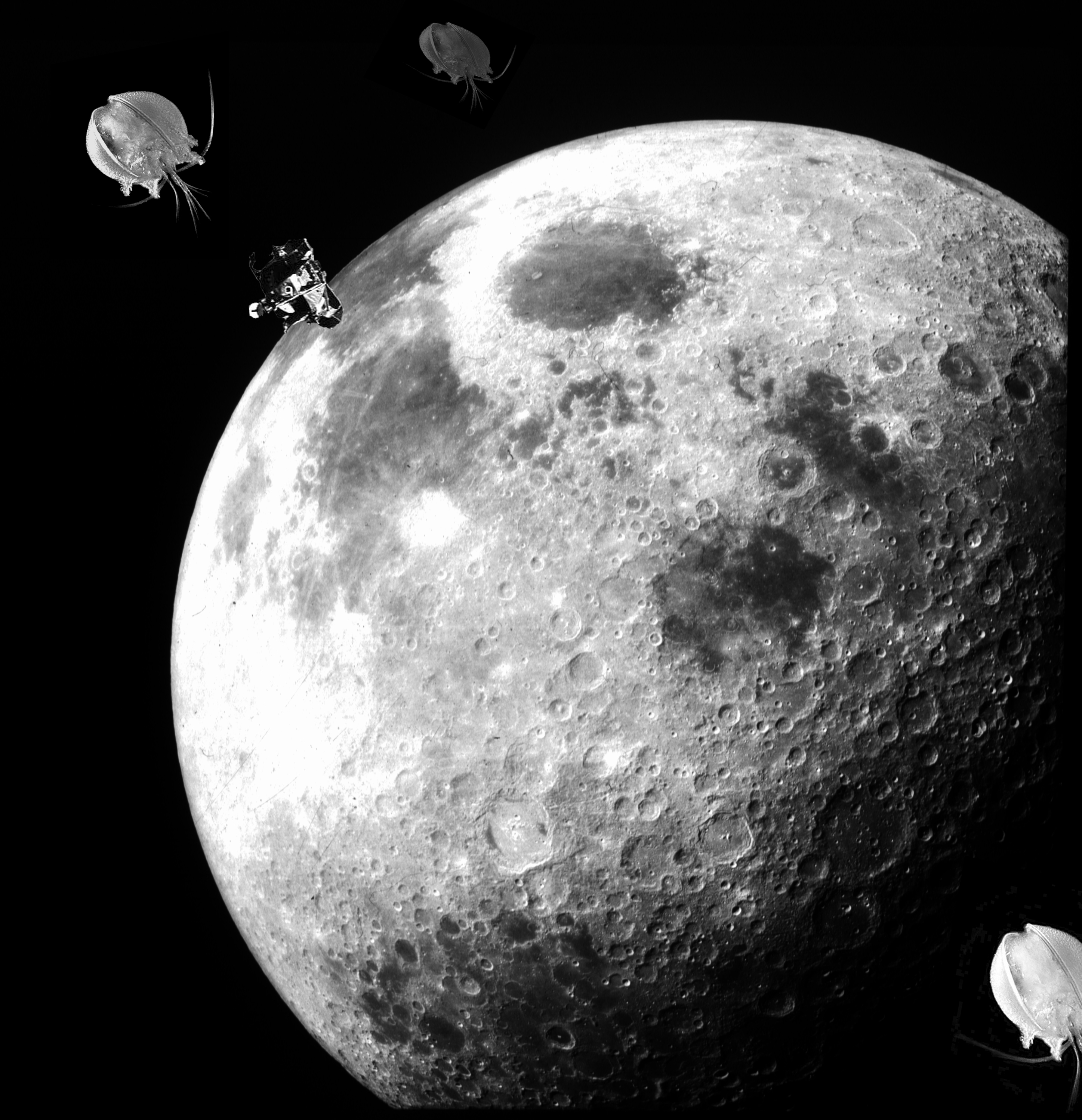 Photoshop Design by polypore for DesignCrowd (Community Contests) | Design #8950665