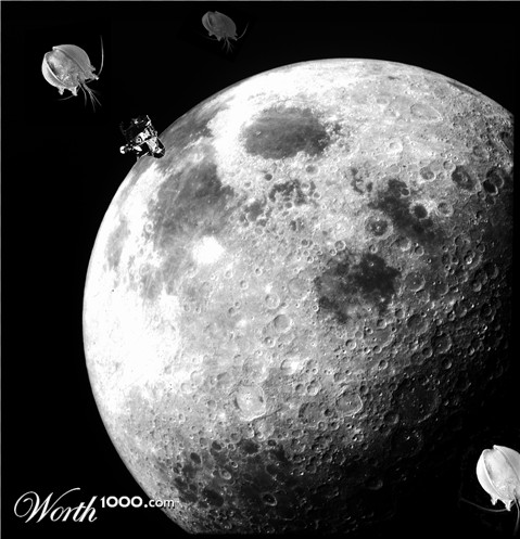 Photoshop Design by polypore