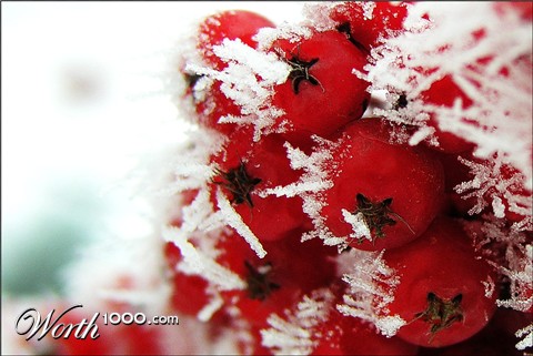 Photography by crattay21cuc