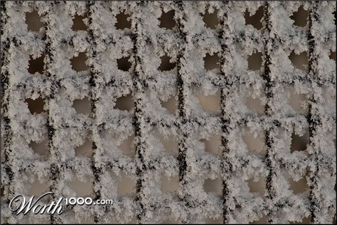 Photography by georgethedog