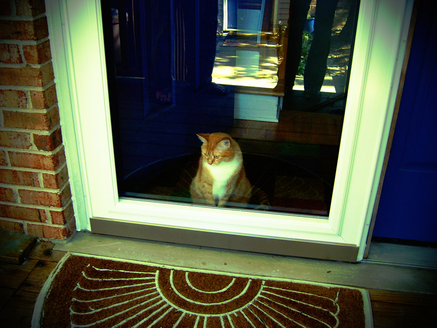 Photographie par tropicalbear pour DesignCrowd (Community Contests) | Design #8951604