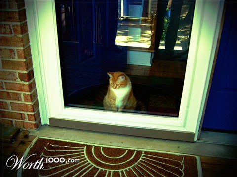 Photography by tropicalbear