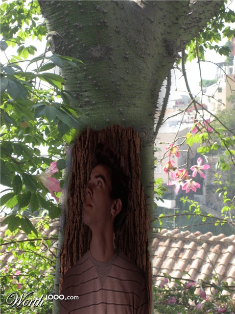 Photoshop Design by Llennoccm8