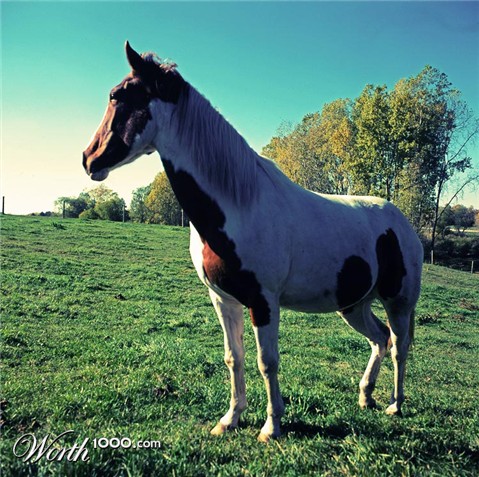 Photography by northman