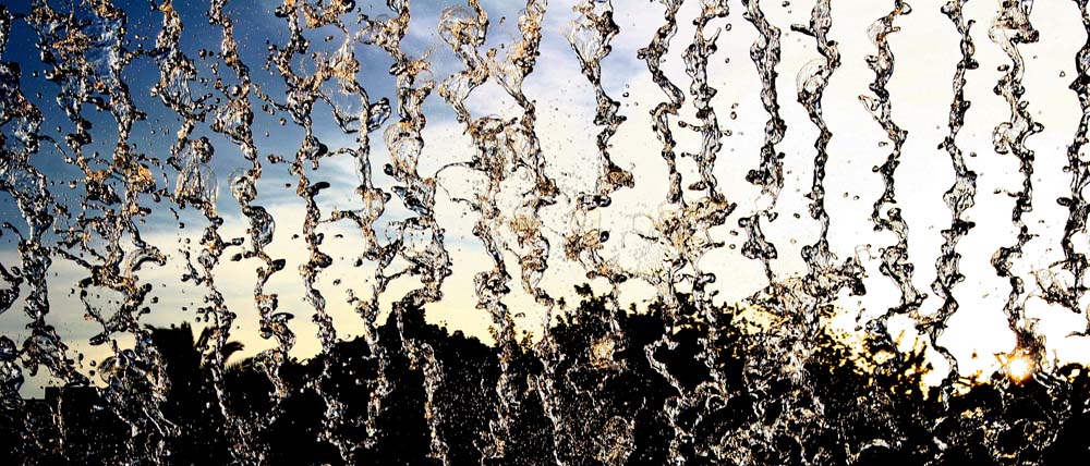 Fotografie von ginscambia für DesignCrowd (Community Contests) | Design #8948158