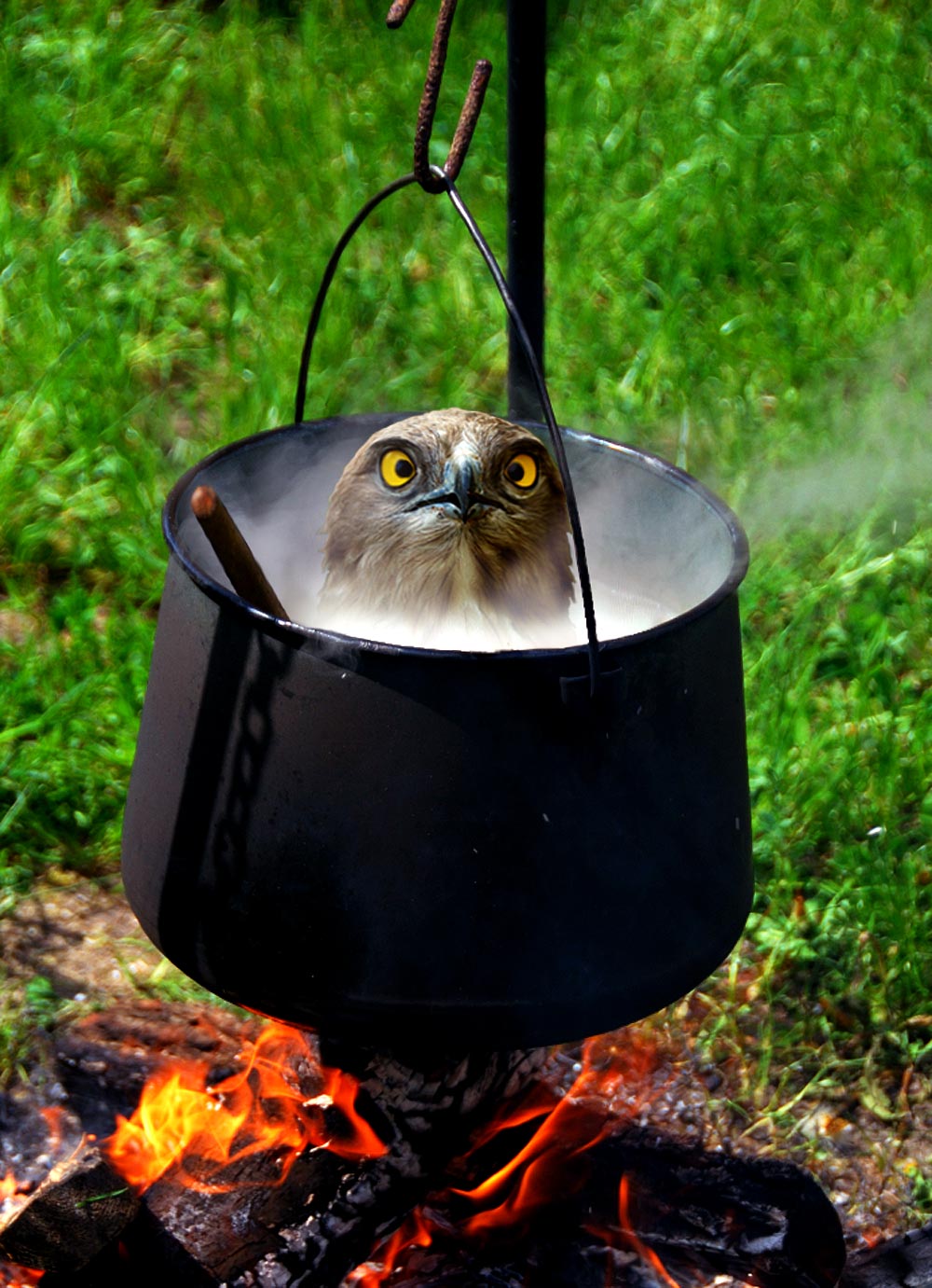 Photoshop Design by amalmansy for DesignCrowd (Community Contests) | Design #8950699