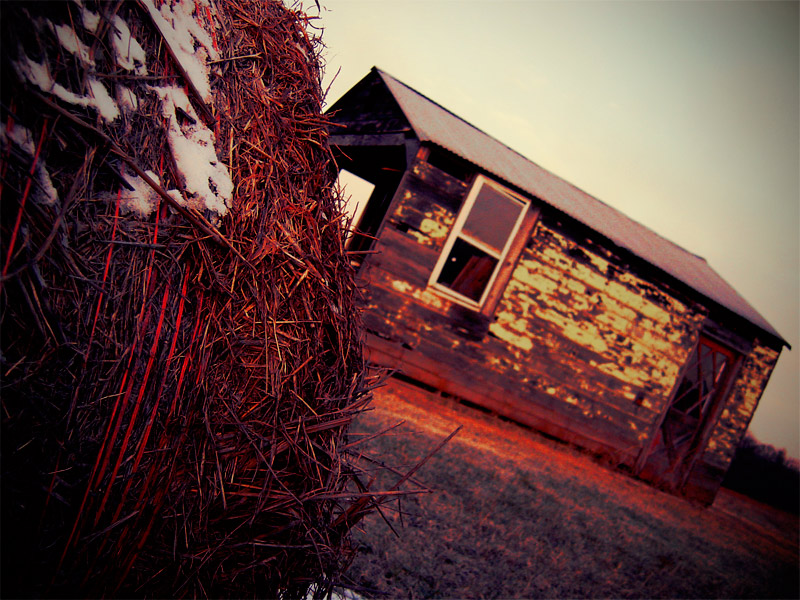 Photographie par rascott pour DesignCrowd (Community Contests) | Design #8951685