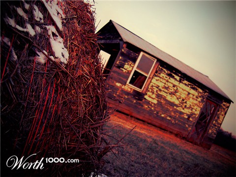Photography by rascott