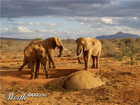 Photoshop Design by Larssonpsd