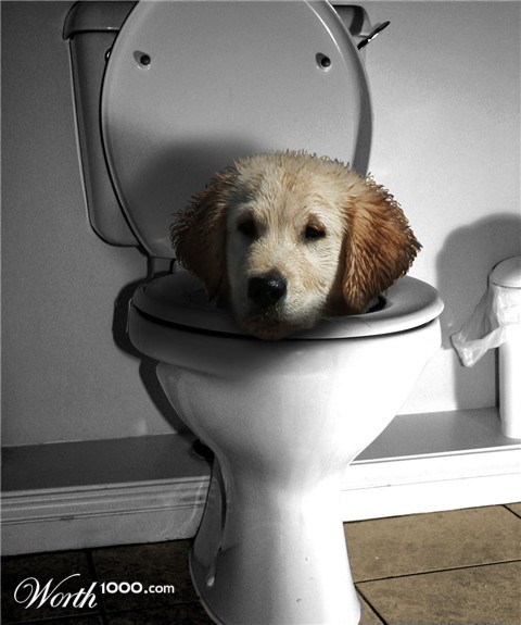 Photoshop Design by jbuchmann55