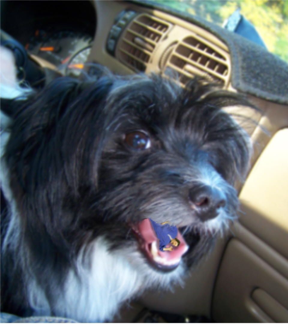 Photoshop Design by kathiess for DesignCrowd (Community Contests) | Design #8950761