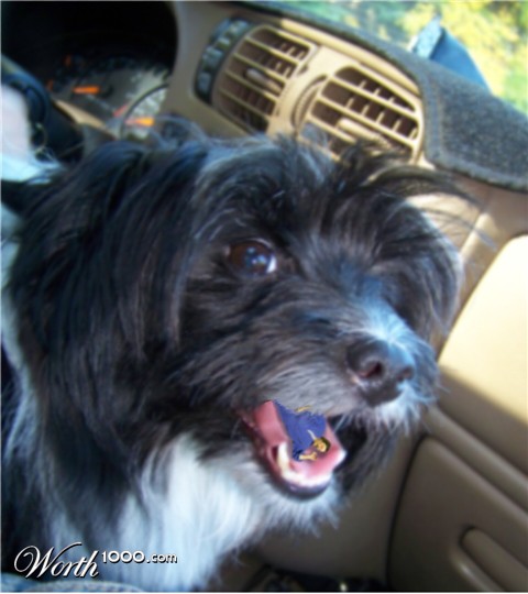 Photoshop Design by kathiess